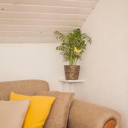 Top-floor In Center *